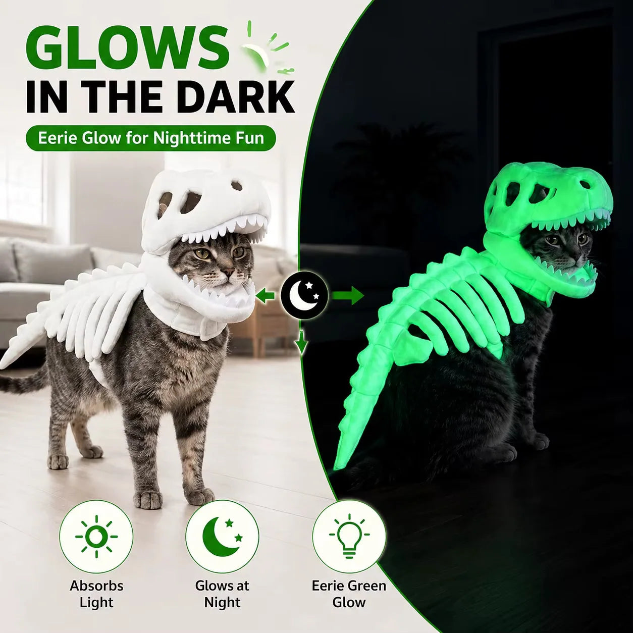 Costume glows in the dark